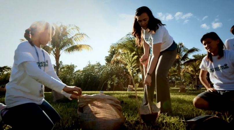Teenagers planting trees